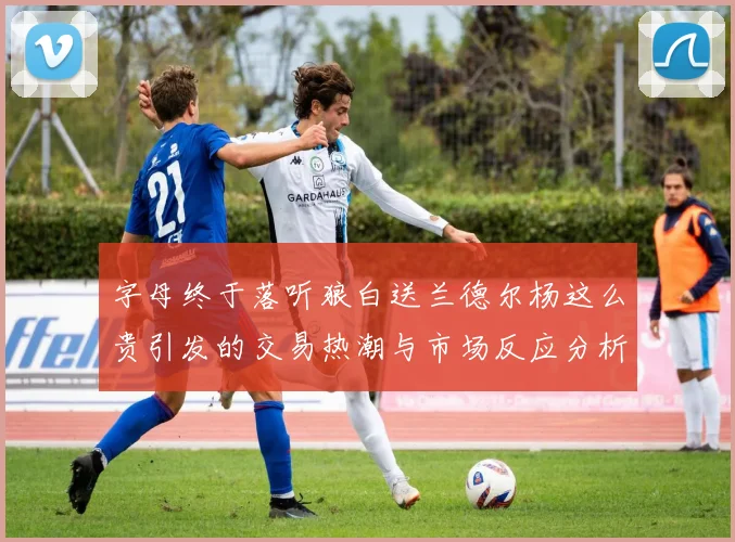 字母终于落听狼白送兰德尔杨这么贵引发的交易热潮与市场反应分析