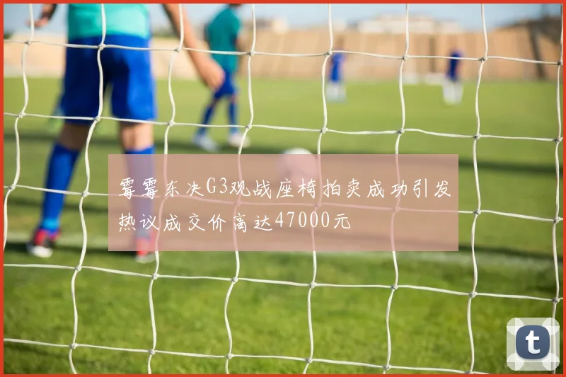 霉霉东决G3观战座椅拍卖成功引发热议成交价高达47000元